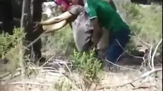 تسجيل سري لثنائي ساخن يمارس الجنس على أريكة الغرفة