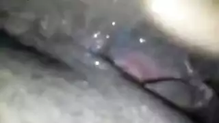 نيك حيوانات نيك رجل